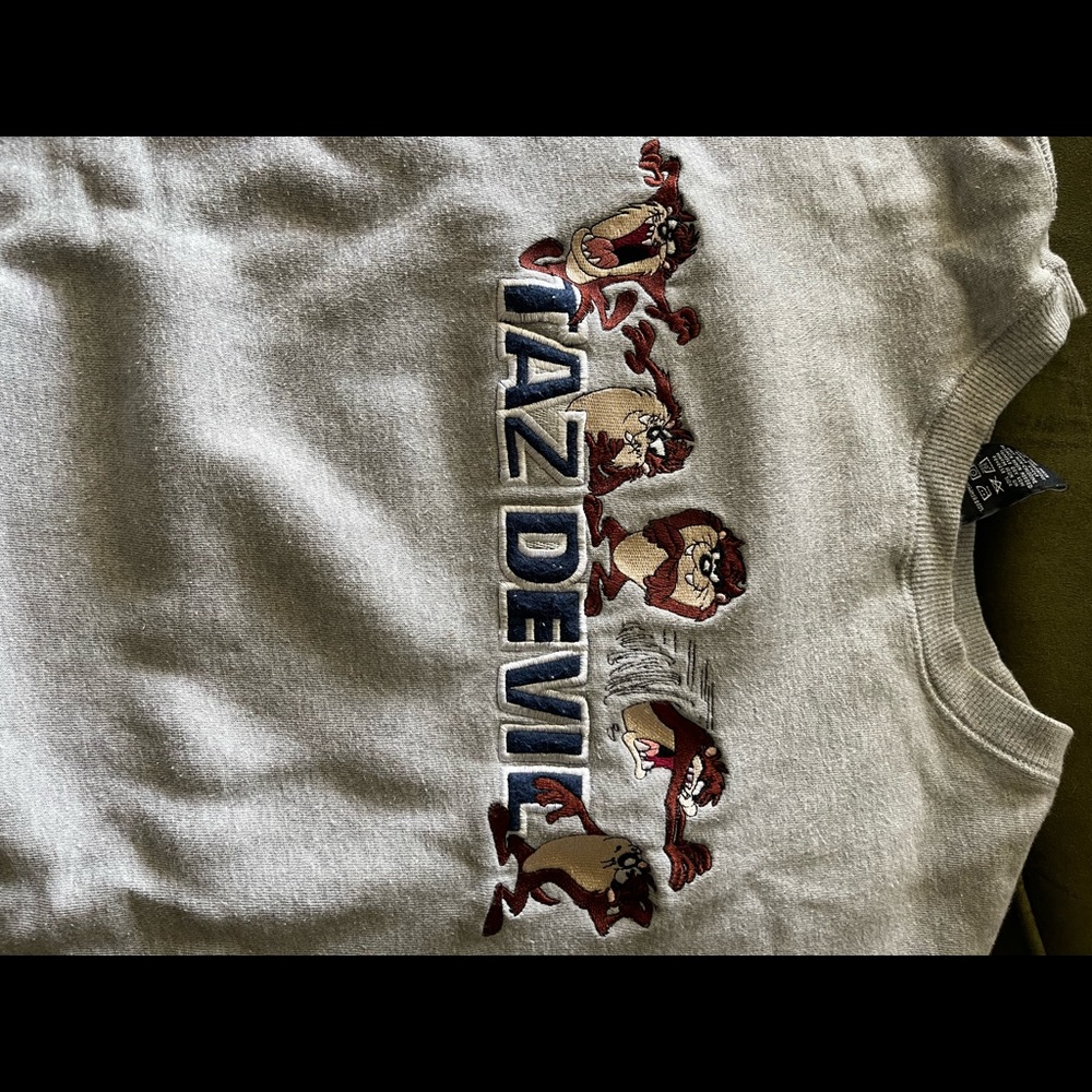 Size XL Taz Devil sweatshirt.. rarely was worn and put away .. time to part with